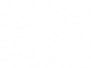 A4